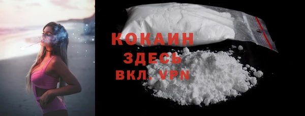 шишки Майский