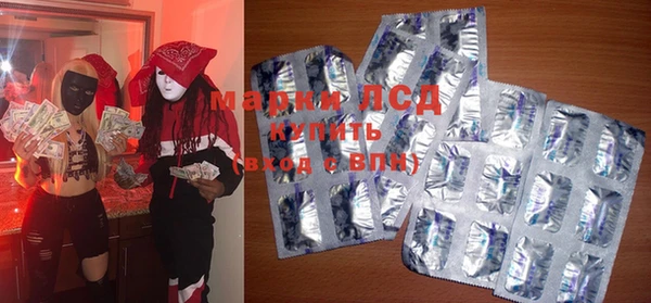 шишки Майский