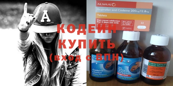 шишки Майский