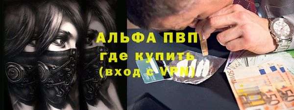 шишки Майский