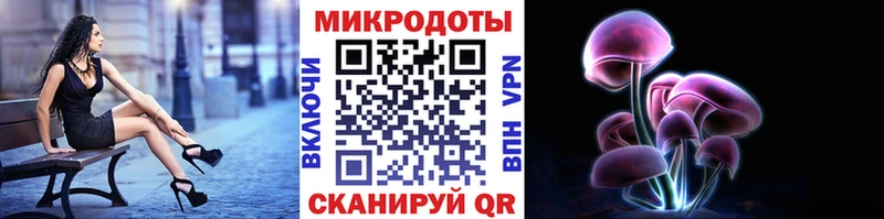 Псилоцибиновые грибы мицелий  где найти наркотики  Ачинск 