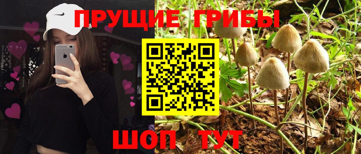 Галлюциногенные грибы Magic Shrooms Ачинск