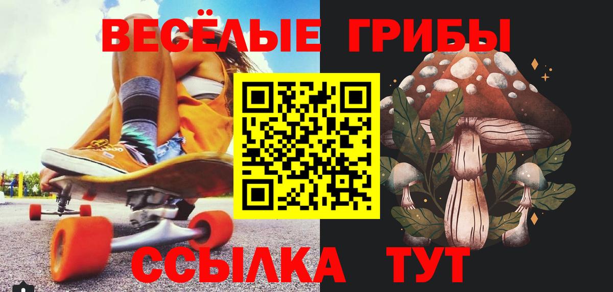 Галлюциногенные грибы Psilocybine cubensis Ачинск