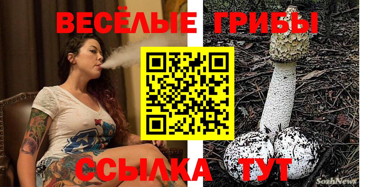 Галлюциногенные грибы мухоморы  Вход с VPN  Ачинск  Псилоцибиновые грибы Psilocybe 